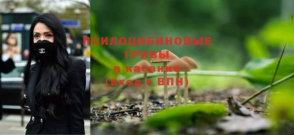 таблы Арсеньев