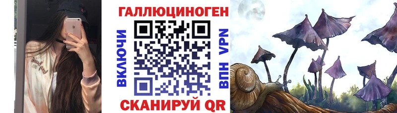 Псилоцибиновые грибы мухоморы  купить закладку  Ахтубинск 